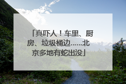 真吓人！车里、厨房、垃圾桶边……北京多地有蛇出没